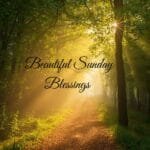 Beautiful Sunday Blessings featured image with sunrise and flowers