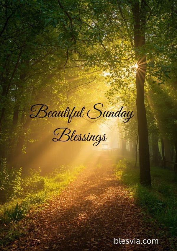 Beautiful Sunday Blessings featured image with sunrise and flowers