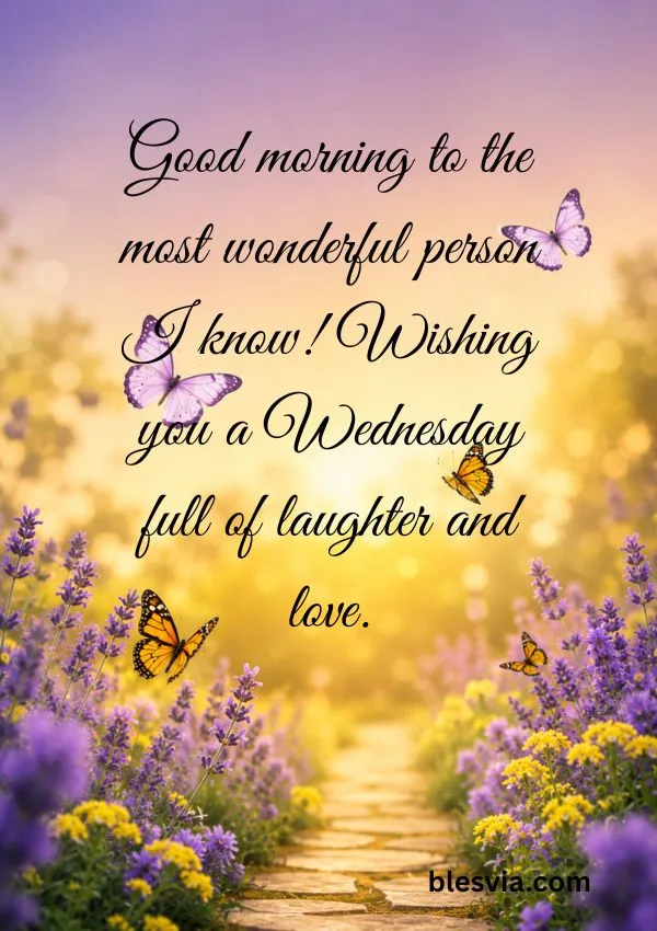 Beautiful Wednesday Morning Greetings for Family and Friends