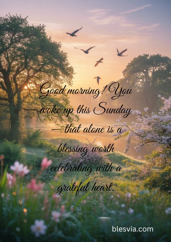 Blessed Sunday Morning