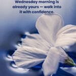 Happy Wednesday Morning Wishes, Blessings, and Quotes blesvia