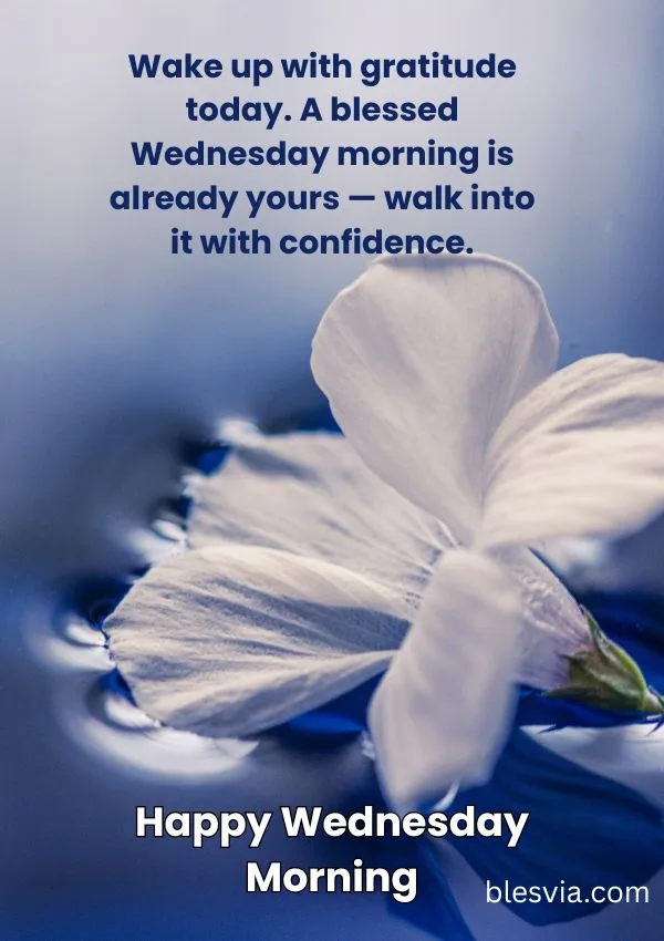 Happy Wednesday Morning Wishes, Blessings, and Quotes blesvia