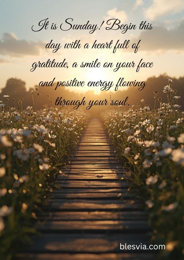 Sunday Blessings Quotes flower path background