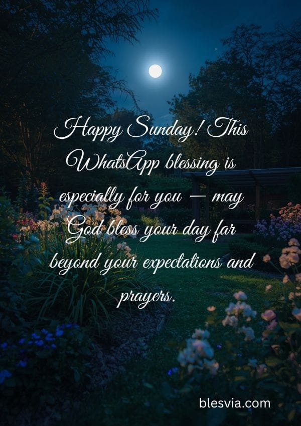 Sunday Blessings for WhatsApp flower and moonlight background