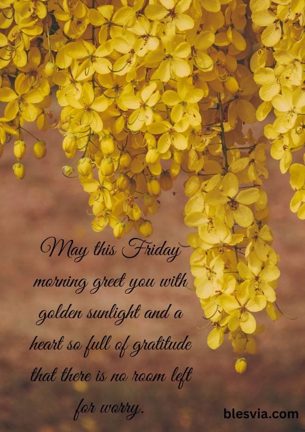 Beautiful Good Morning Friday Blessings