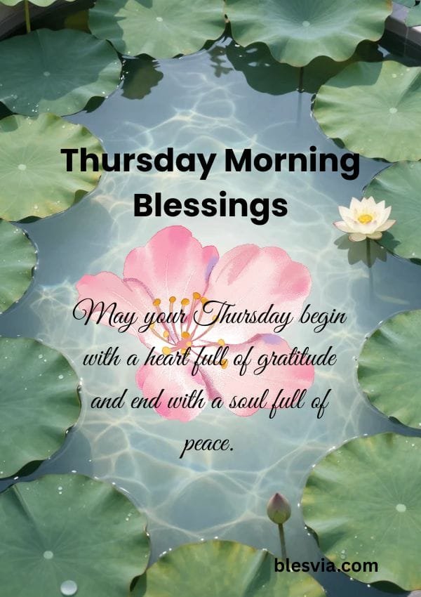Beautiful Good Morning Thursday Blessings