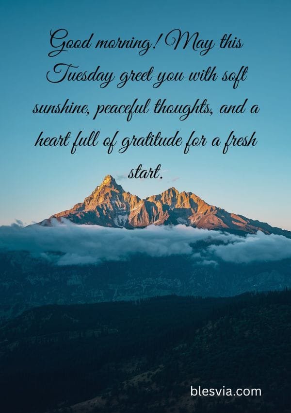 Beautiful Good Morning Tuesday Blessings
