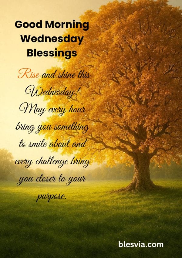 Beautiful Good Morning and Happy Wednesday Blessings title image