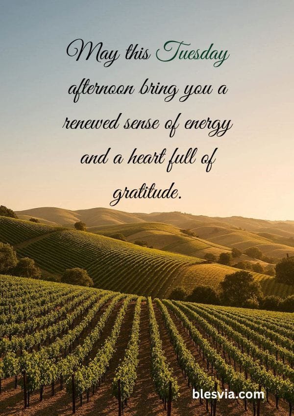 Beautiful Tuesday Afternoon Blessings