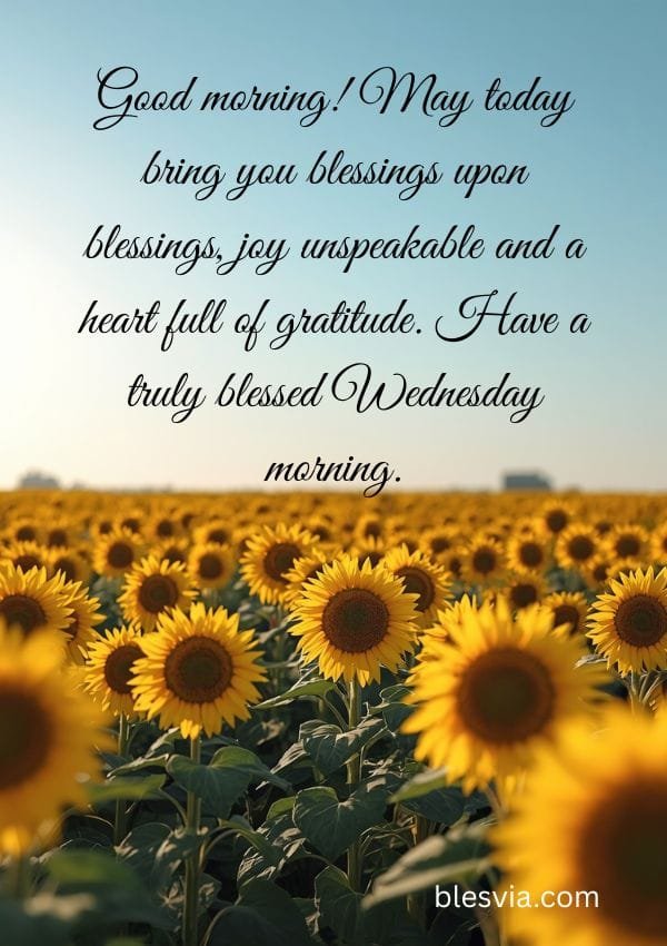 Beautiful Wednesday Morning Blessings with sunflower background