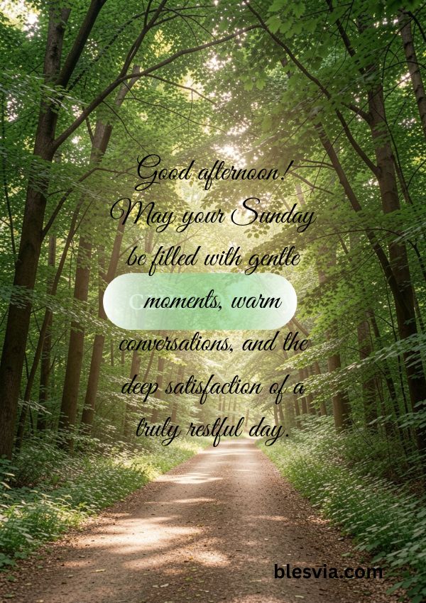 Good afternoon! May your Sunday be filled with gentle moments, warm conversations, and the deep satisfaction of a truly restful day.