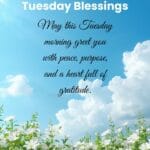 May this Tuesday morning greet you with peace, purpose, and a heart full of gratitude.