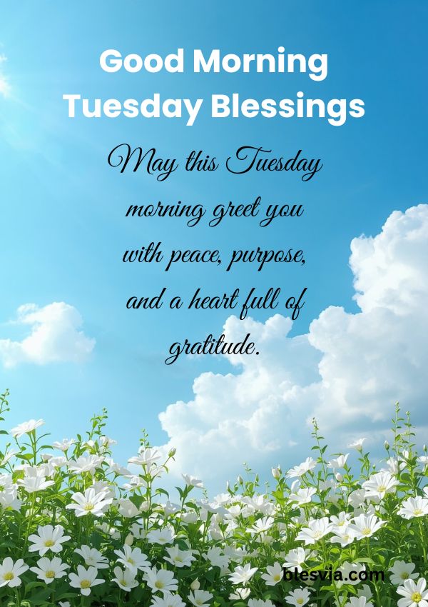 May this Tuesday morning greet you with peace, purpose, and a heart full of gratitude.