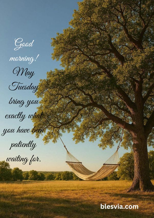 Good morning! May Tuesday bring you exactly what you have been patiently waiting for.