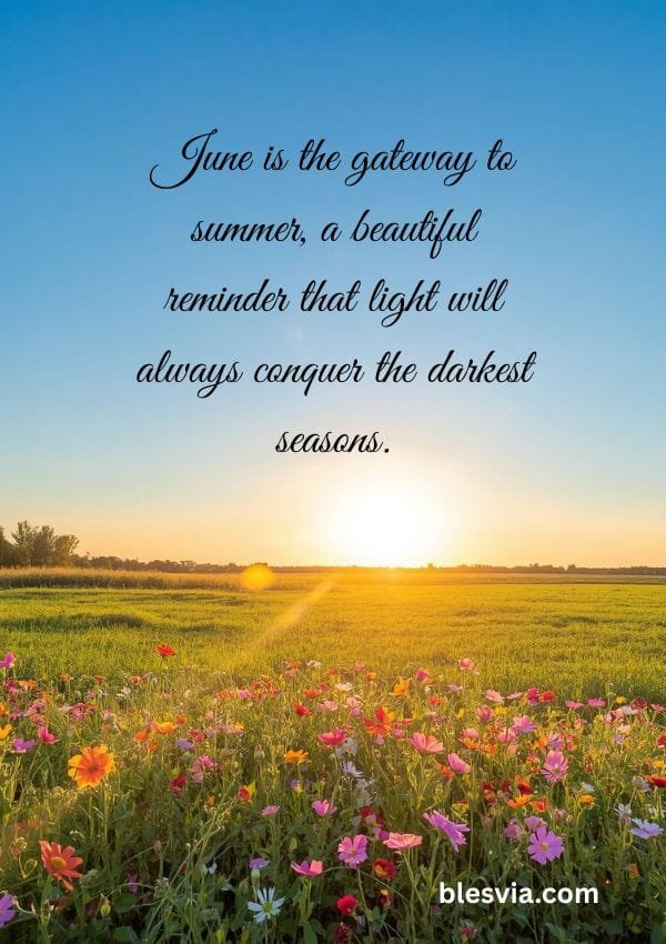June Blessings Images and Quotes with flower field background