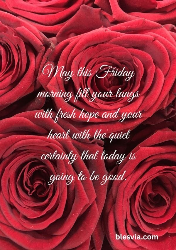 Positive Friday Morning Blessings with red roses background