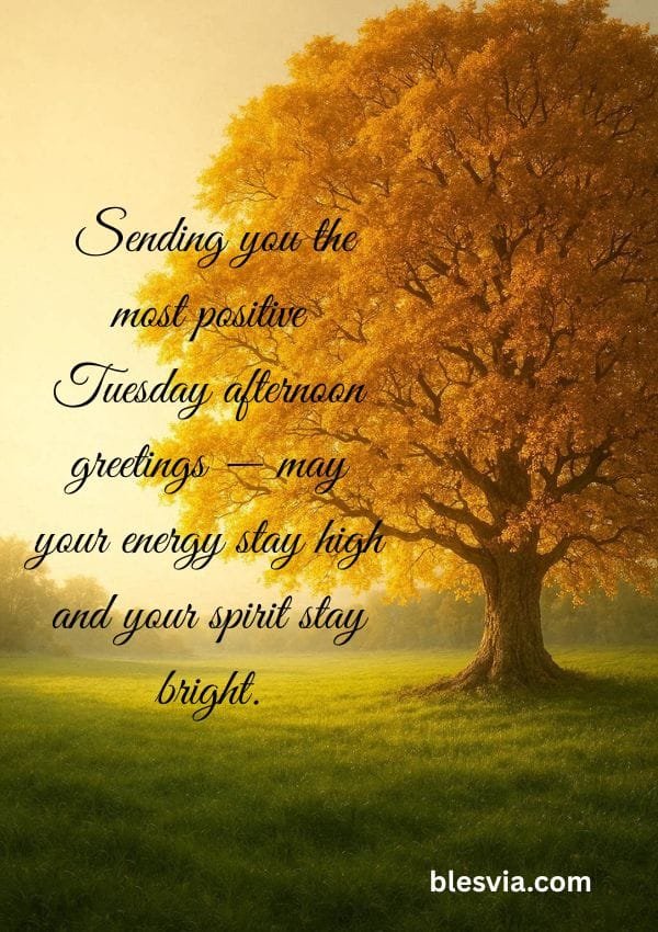 Positive Tuesday Afternoon Greetings