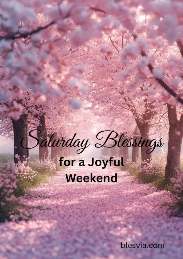 Saturday Blessings Images and Quotes title image with pink trees path