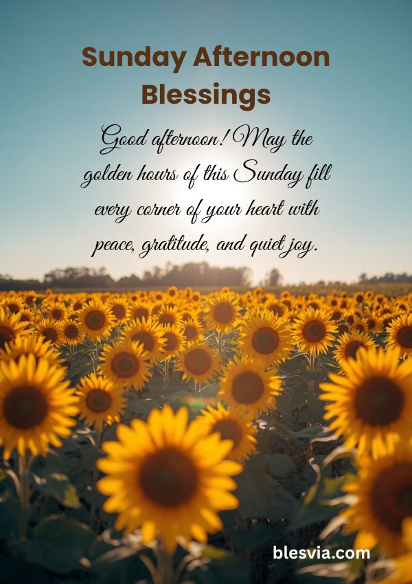 Good afternoon! May the golden hours of this Sunday fill every corner of your heart with peace, gratitude, and quiet joy.