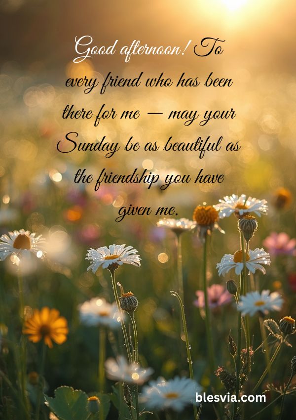 Good afternoon! To every friend who has been there for me — may your Sunday be as beautiful as the friendship you have given me.