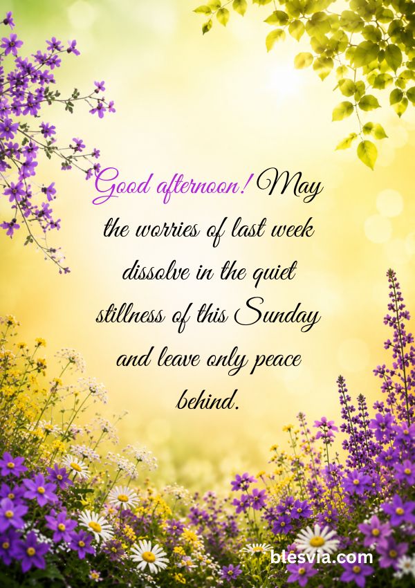 Good afternoon! May the worries of last week dissolve in the quiet stillness of this Sunday and leave only peace behind.