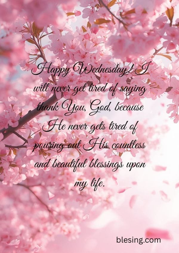 Thankful Wednesday Blessings