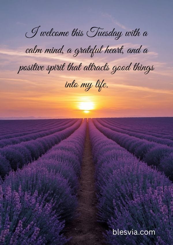 Tuesday Affirmations for Positivity purple flowers background