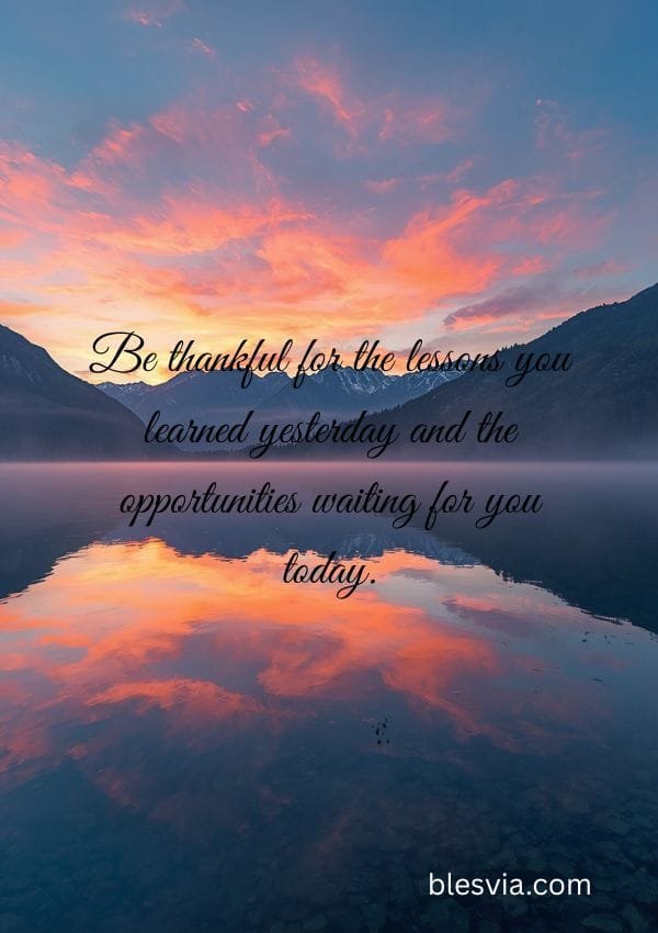 Tuesday Gratitude Reflections