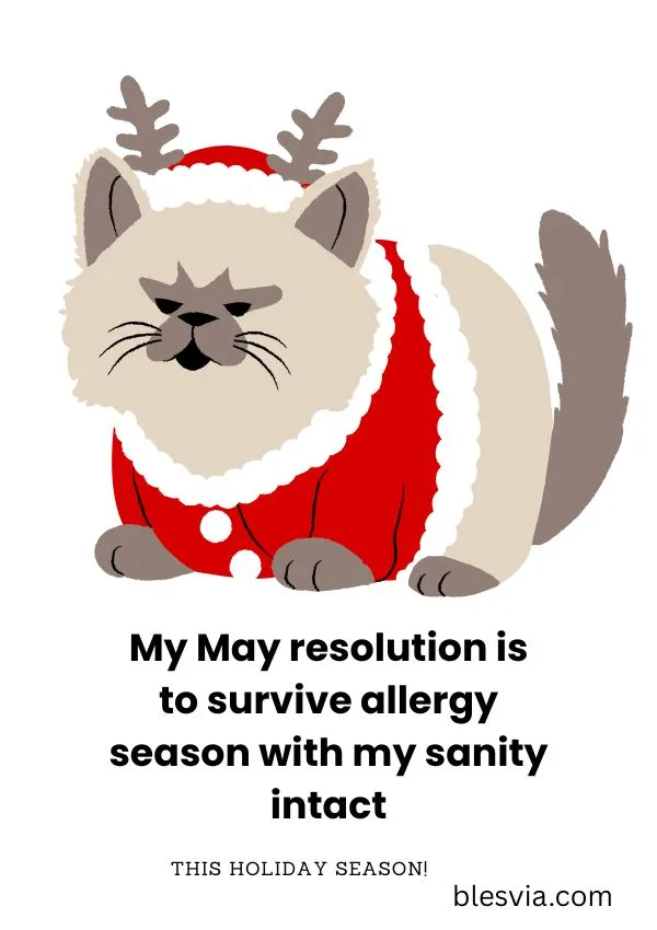 Funny May Quotes to Make You Smile