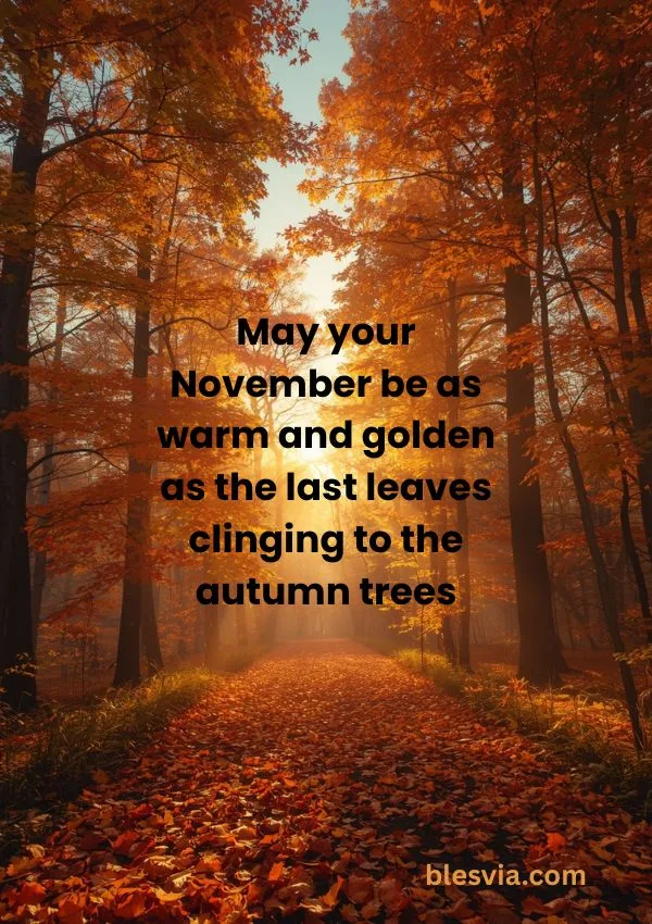 Happy November Quotes That Feel Like Sunshine