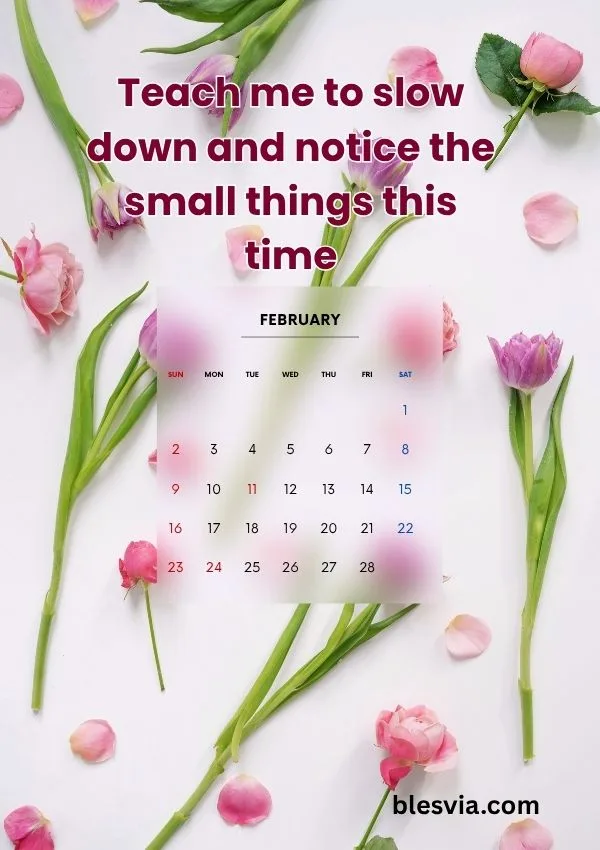 Teach me to slow down and notice the small things this time