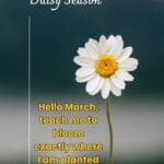 Hello March Quotes, Blessings & Wishes for a Fresh Start title image