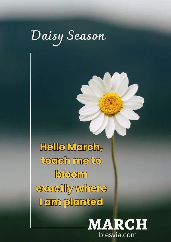 Hello March Quotes, Blessings & Wishes for a Fresh Start title image