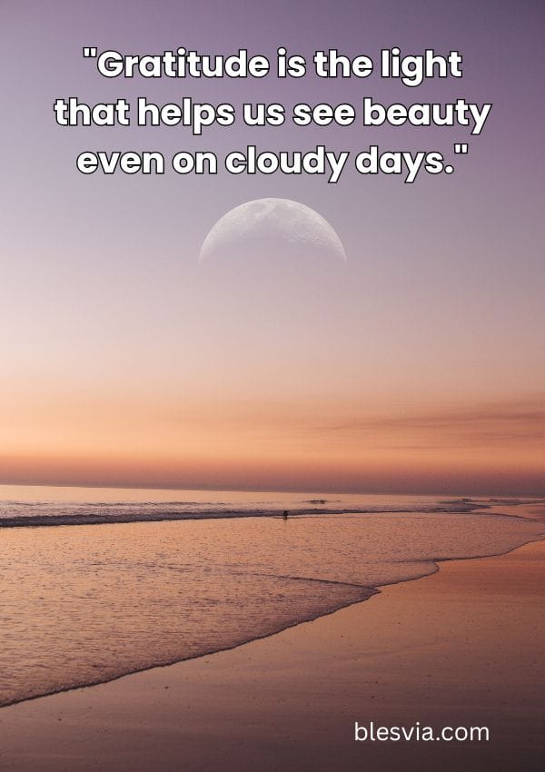 Inspirational Gratitude Quotes blesvia