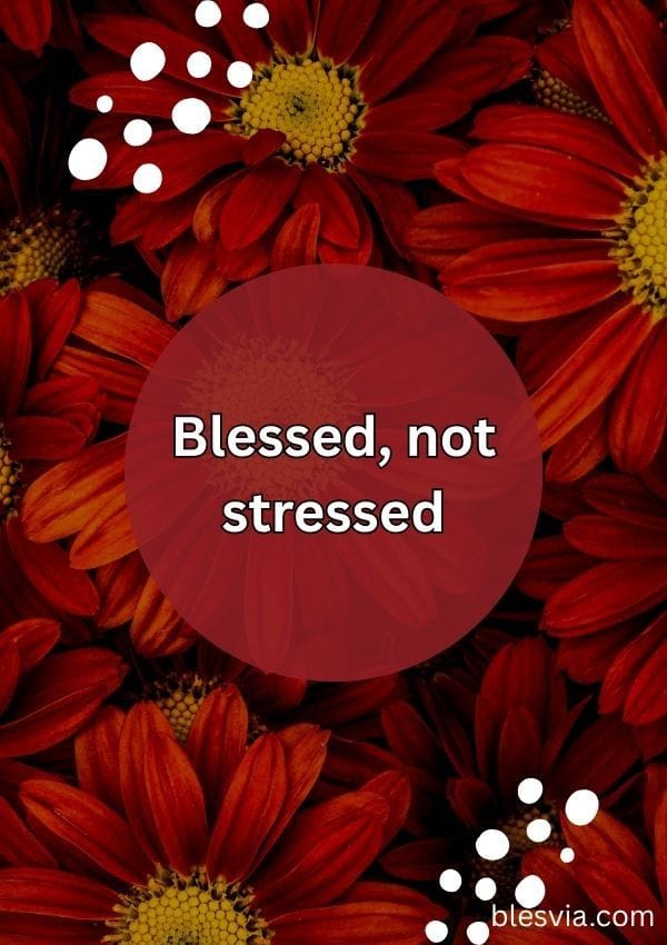 Short Blessed Quotes for Social Media