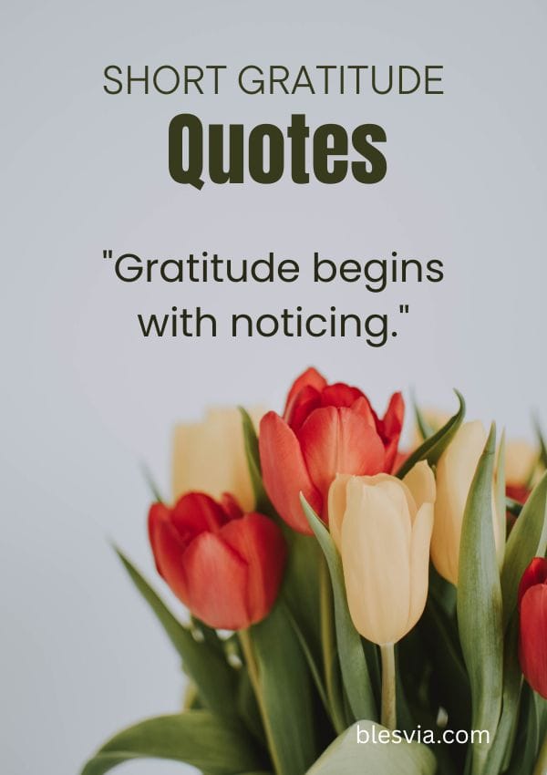 Short Gratitude Quotes blesvia
