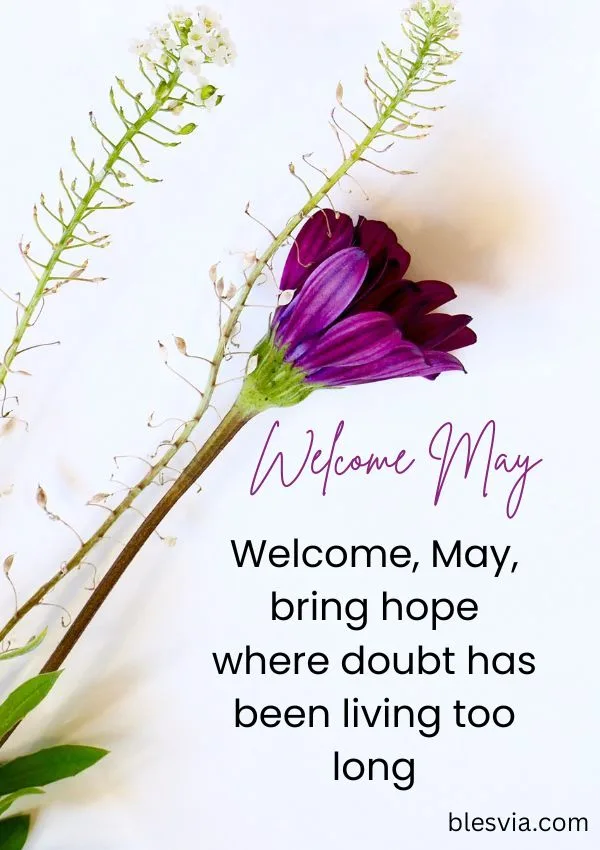 Welcome May Blessings to Begin the New Month with Hope