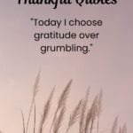 150+ Thankful Quotes to Inspire Gratitude, Blessings, and a Grateful Heart blesvia