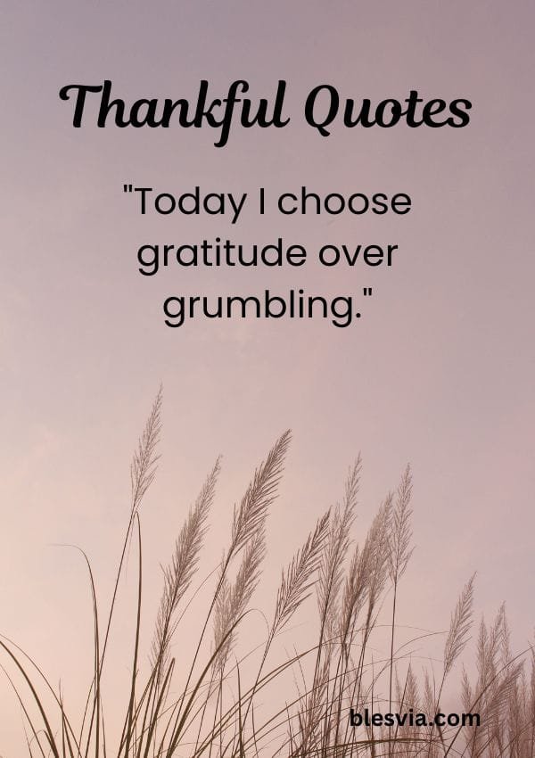 150+ Thankful Quotes to Inspire Gratitude, Blessings, and a Grateful Heart blesvia