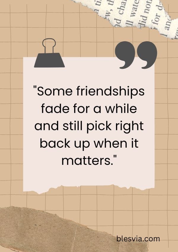 Friendship Quotes About Growing Apart and Reconnecting blesvia