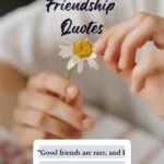 Friendship Quotes to Celebrate the Bonds That Matter Most blesvia title image