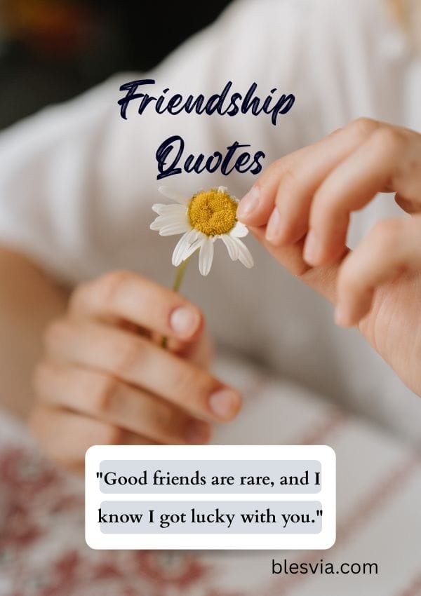 Friendship Quotes to Celebrate the Bonds That Matter Most blesvia title image