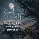 Good Night Quotes, Blessings and Wishes blesvia title image