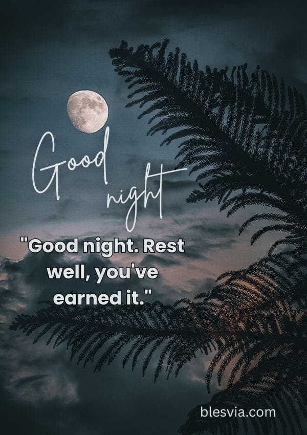 Good Night Quotes, Blessings and Wishes blesvia title image