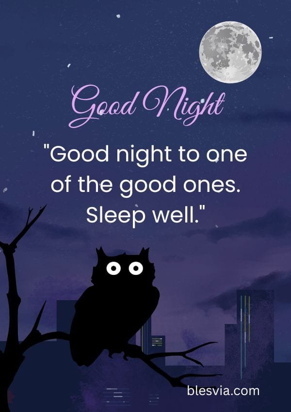 Good Night Quotes for Friends blesvia