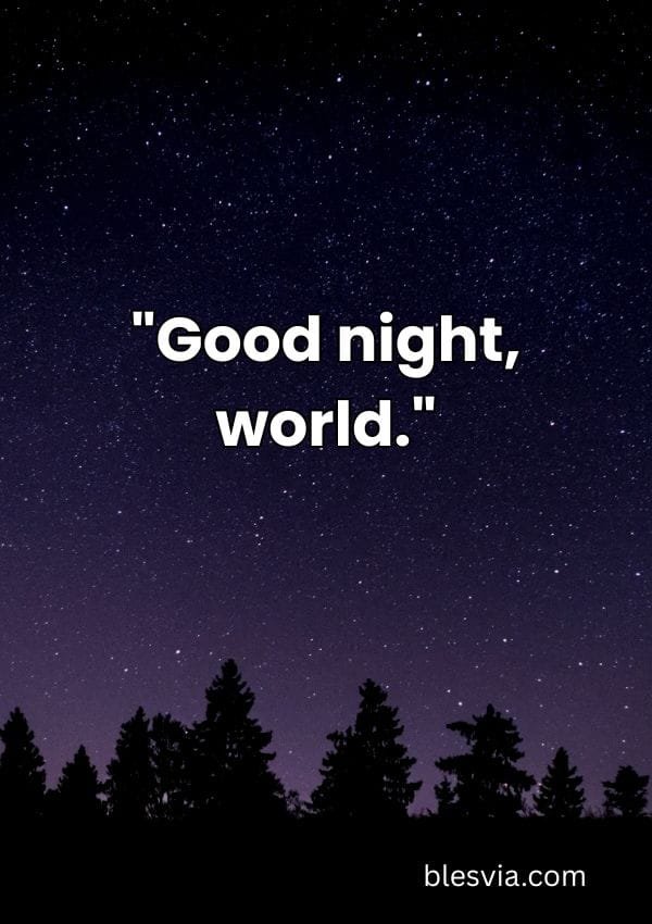Good Night Quotes for Instagram and Social Captions blesvia