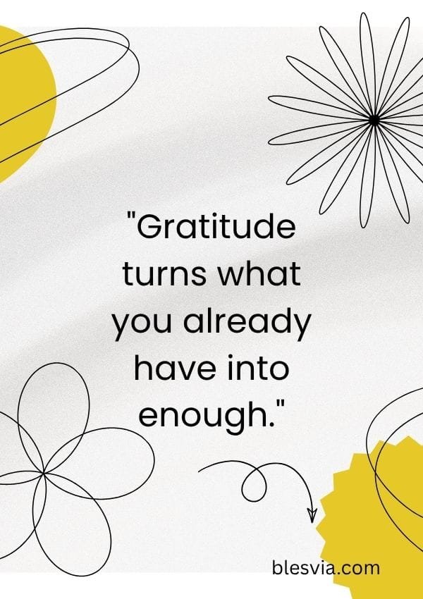 Inspirational Quotes About Gratitude and Perspective blesvia