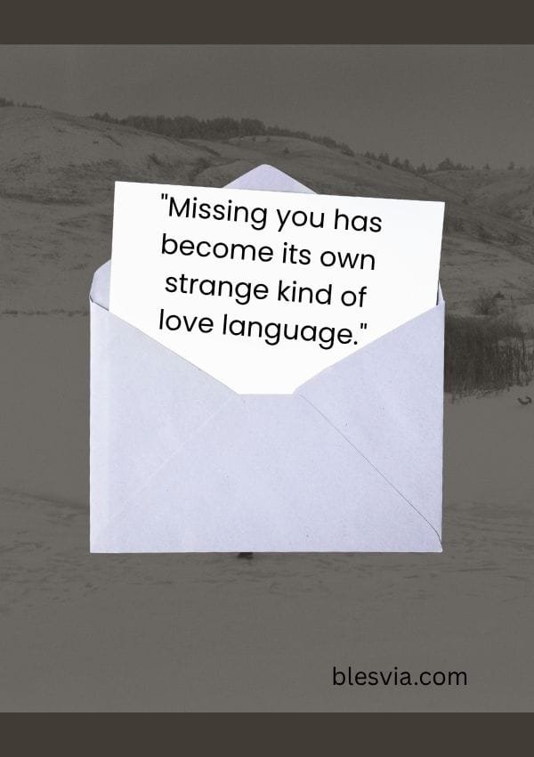 Love Quotes About Missing Someone blesvia