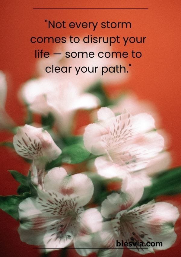 Positive Quotes About Life and Perspective blesvia
