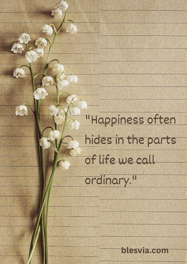 Quotes About Life and Happiness blesvia